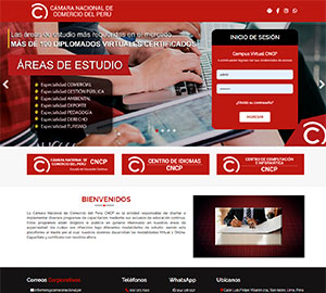 Camara nacional de comercio del perú - Aula virtua - Aula virtual